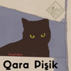 Qara Pişik - Vinyl