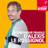 La chronique fragile d'Alexis Le Rossignol - France Inter