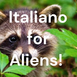 16 . Lezione di spontaneità italiana per alieni