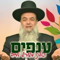 הרב יגאל כהן ענפים