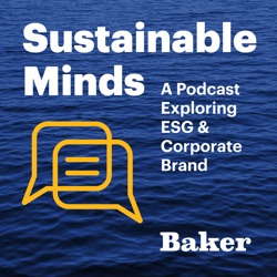 Sustainability's Role in Business Strategy with Joe Rozza