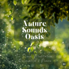 Nature Sounds Oasis | Relaxing Nature Sounds For Sleep, Meditation, Relaxation Or Focus | Sounds Of Nature | Sleep Sounds, Sl - Nature Sounds Oasis - Relaxing Sounds Of Nature
