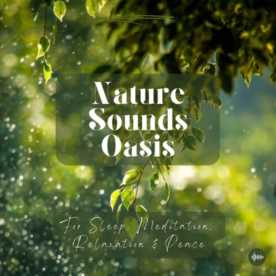Nature Sounds Oasis | Relaxing Nature Sounds For Sleep, Meditation, Relaxation Or Focus | Sounds Of Nature | Sleep Sounds, Sleep Music, Meditation Sounds, Ocean Waves, Rain, White Noise & More:Nature Sounds Oasis - Relaxing Sounds Of Nature