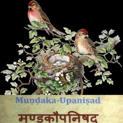 Mundakopanishad Day 11