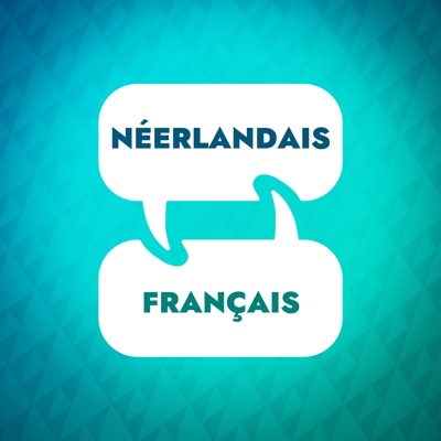 Accélérateur d'apprentissage du néerlandais:Language Learning Accelerator