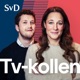 SvD Tv-kollen