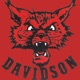 Miracle Over the Mojave (Davidson Version)