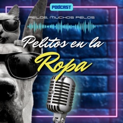 Pelitos en la Ropa