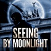 Seeing by Moonlight artwork