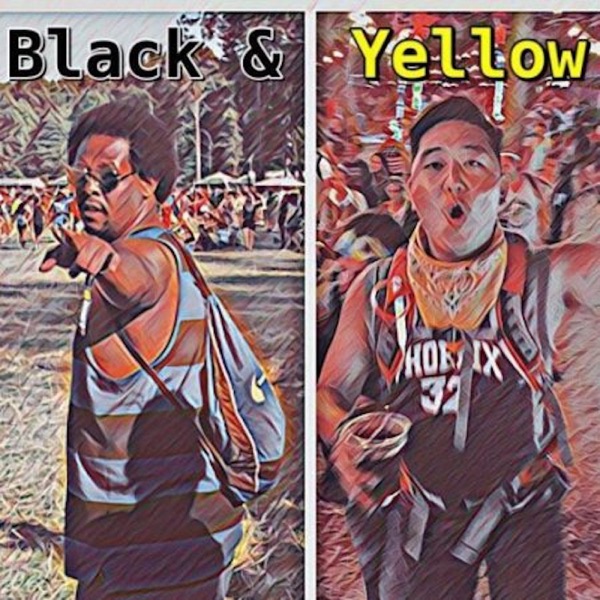 BLACK & YELLOW