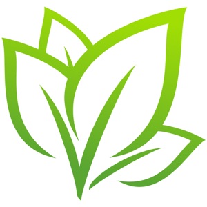 11/29/2020 - 1st Sunday of Advent: Hope