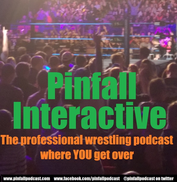 Pinfall Interactive cover