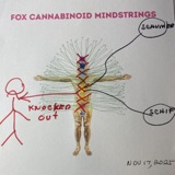 MTG Mind control-US energies- Alien strings-Jesus would be shocked - November 17th, 2025