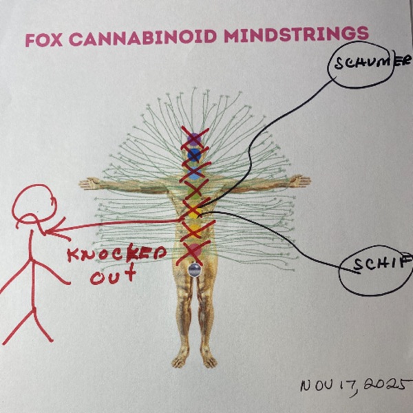 MTG Mind control-US energies- Alien strings-Jesus would be shocked - November 17th, 2025 photo