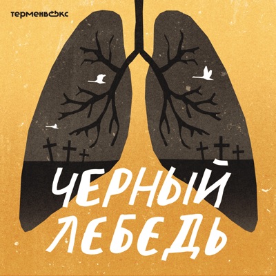 Черный лебедь:Терменвокс