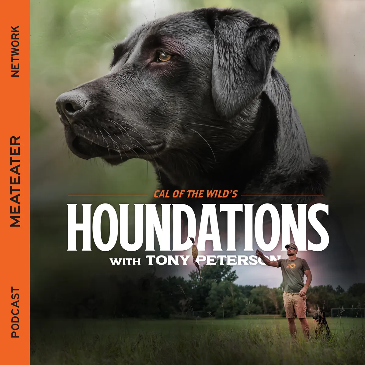 Ep. 291 Houndations The Cur Cal of the Wild Apple Podcasts