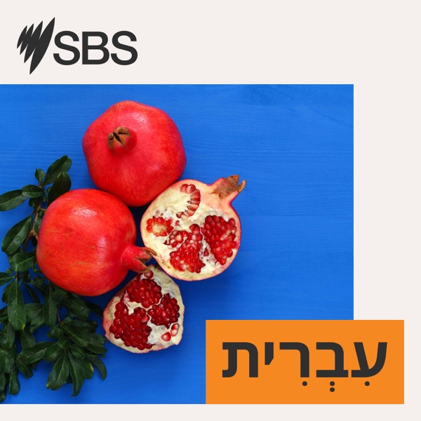 SBS Hebrew Cover Art