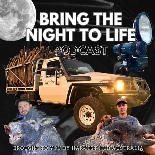 BRING THE NIGHT TO LIFE