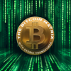 The Bitcoin Matrix - Cedric Youngelman