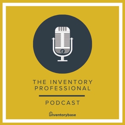 The Inventory Professional The Inventory Professional