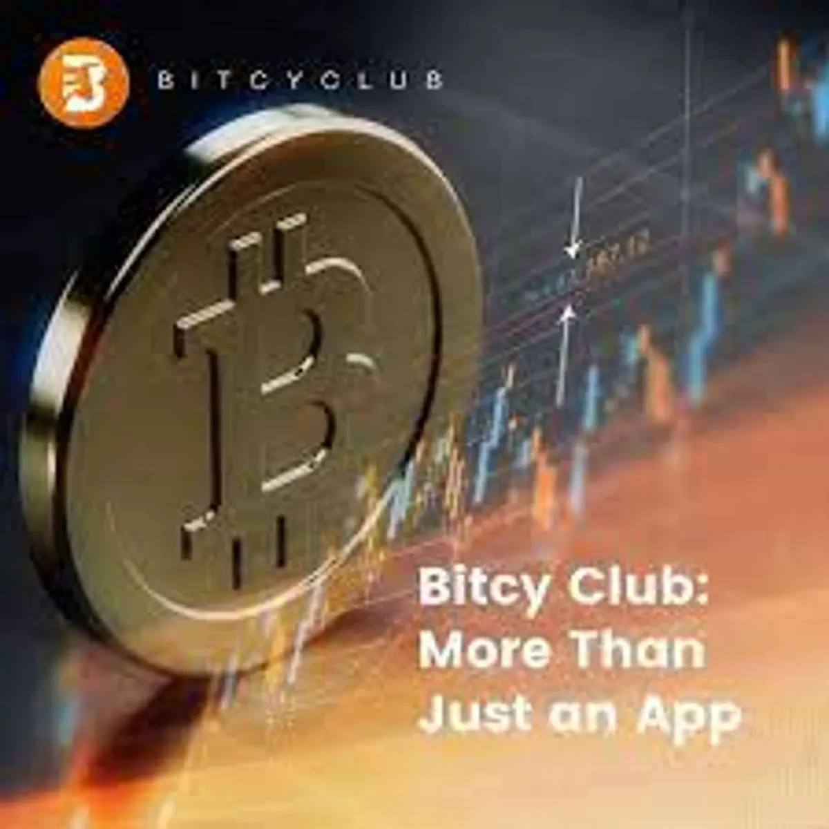 Bitcy Club Co-Founder Gady Koh… - The Dana Crypto Show - Apple Podcasts