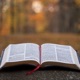 KJV Bible Chronological Daily Reading
