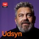 Udsyn