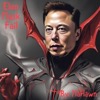 Elon Musk Fail