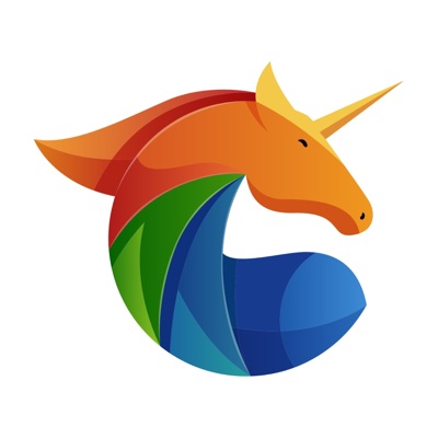 The Unicorn Projects