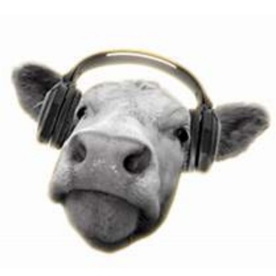 Cows, Not Cow - How To Make Your Networking Really Work! Cows, Not Cow - How To Make Your Networking Really Work!