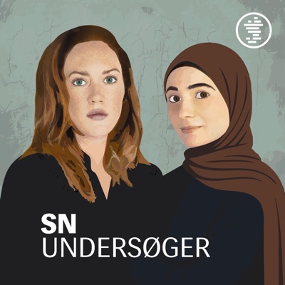 SN Undersøger SN Undersøger
