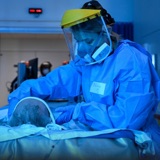 Could Covid lockdowns have been avoided?