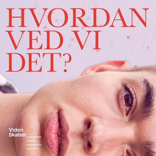 Kan maskiner tænke? - Hvordan ved vi det?