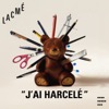 "J'AI HARCELÉ"