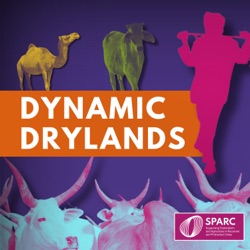 Episode 2: Untangling land tenure and conflict in the drylands