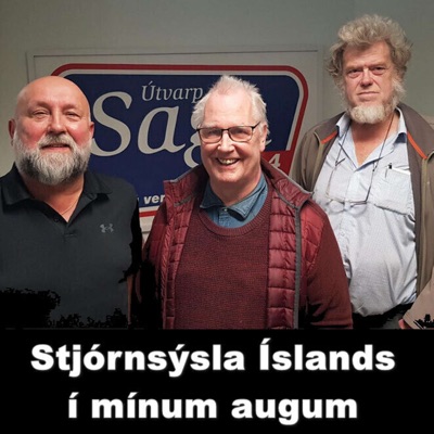 Stjórnsýsla Íslands í mínum augum Stjórnsýsla Íslands í mínum augum