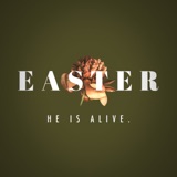 1 Corinthians 15:50–58 | Resurrection Reality