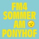 Sommer am Ponyhof