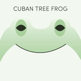 Cuban Tree Frog | Week of May 22nd