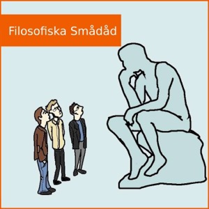 Filosofiska Smådåd