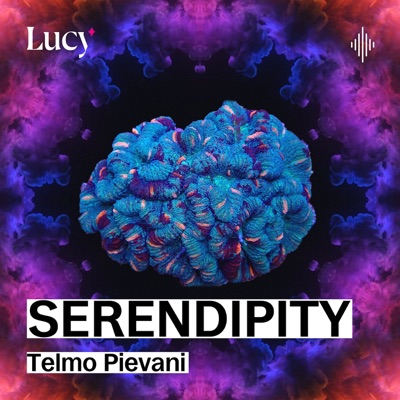 Serendipity Serendipity
