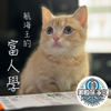航海王的富人學 - 美股航海王．傑克．史派羅