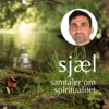 Sjæl - samtaler om spiritualitet - Soroush Zand