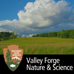 Geology of Valley Forge