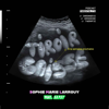 TIROIR CAISSE - Sophie Marie-Larrouy