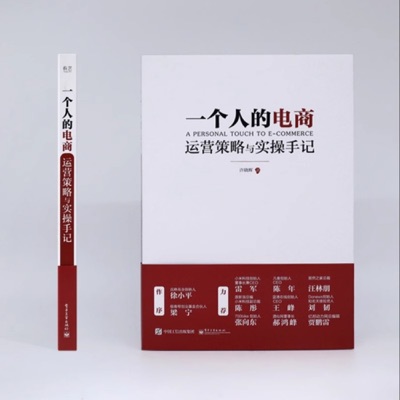 《一个人的电商》完结