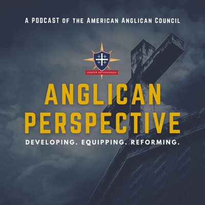 Anglican Perspective