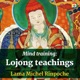 Mind training: Lojong teachings with Lama Michel Rinpoche