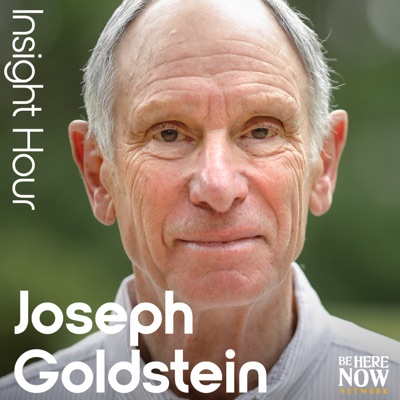 Insight Hour with Joseph Goldstein:Be Here Now Network