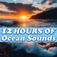 Ocean Sounds - 12 Hours